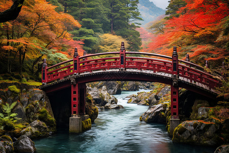 日本秋叶红桥与秋叶的相遇背景