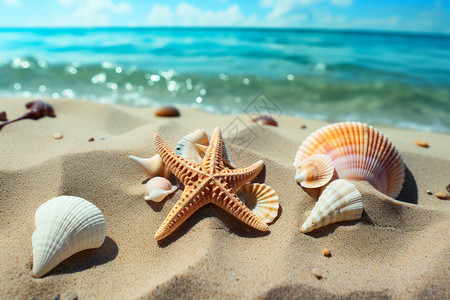 卡通海星与海螺贝壳与海星相伴的沙滩背景