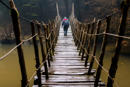 森林景观中的人行吊桥图片
