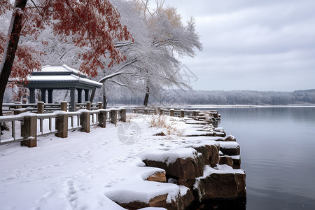 冬日白雪覆盖的公园湖畔景观图片