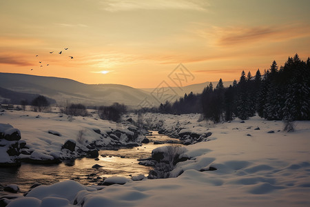 白雪皑皑的冬季山谷景观图片