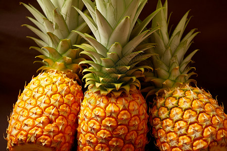 热带水果的菠萝图片