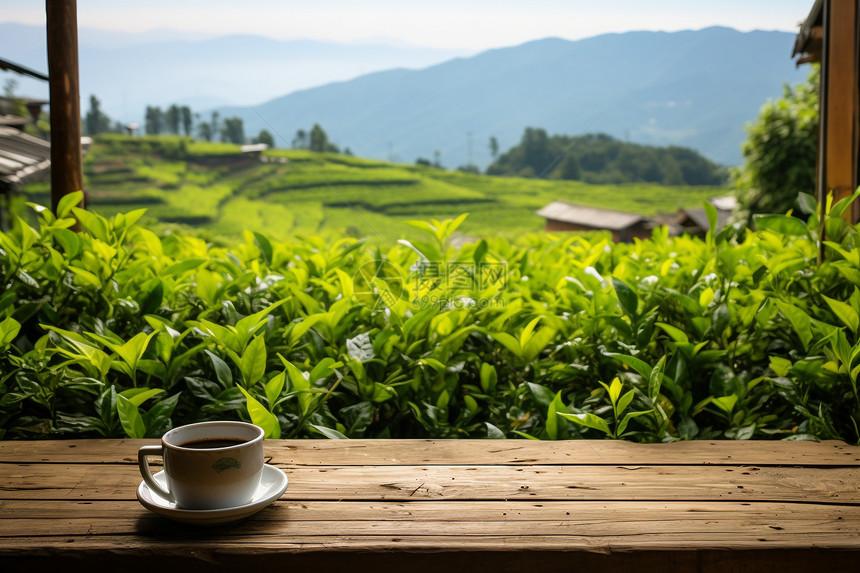 茶园风光图片