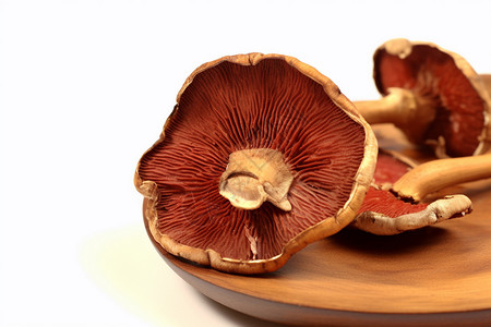 营养的蘑菇图片