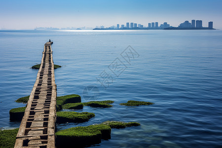 海上的栈桥图片