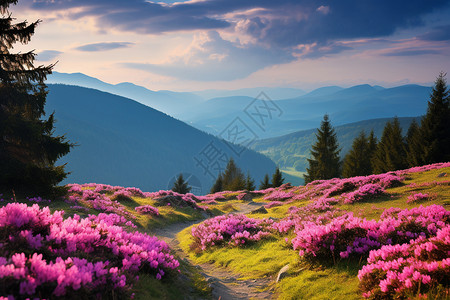 手绘粉红色的山山上花朵的粉红色花朵背景