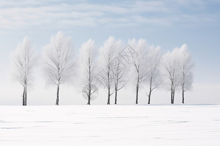 寒冷冬季的树林景观图片
