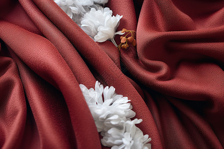 红布遮盖丝绒红布上的白花背景