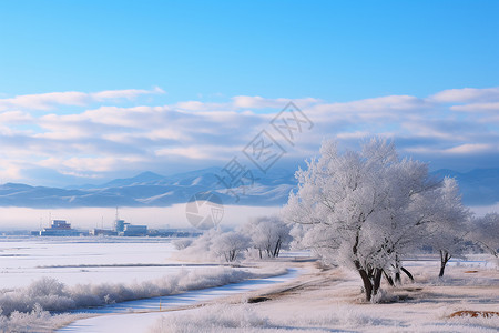 冰雾中的雪原高清图片