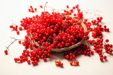 红色浆果的盛宴背景图片