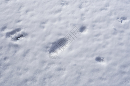雪地上的脚印高清图片