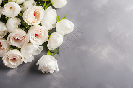 白玫瑰花语花语浪漫背景