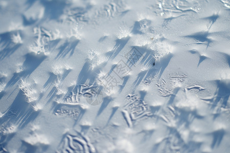 冰雪覆盖的地上的印记高清图片
