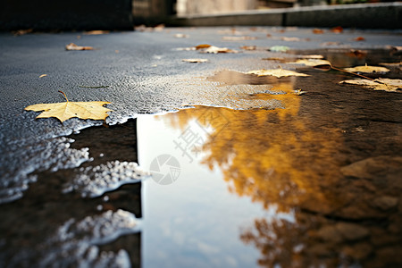 秋日水中倒影图片