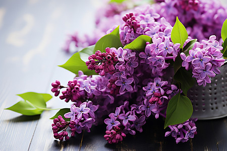 紫丁香盛放的花束背景图片