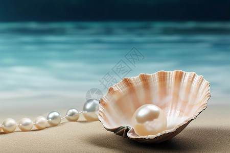 珍珠耳钉配饰贝壳上的珍珠设计图片