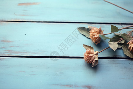 木板上的枯萎花朵背景图片