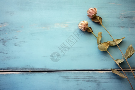 复古木板上干枯的花朵图片
