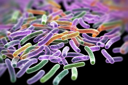 人体肠道正常菌群背景图片
