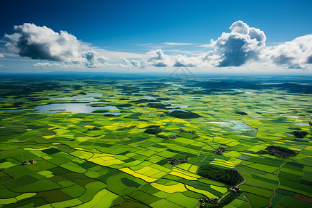 广阔无垠的绿色田野背景图片
