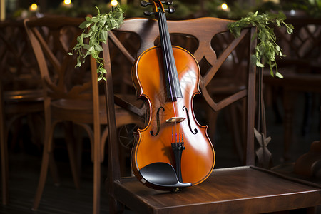 精致绿色植物木椅上的古典小提琴背景