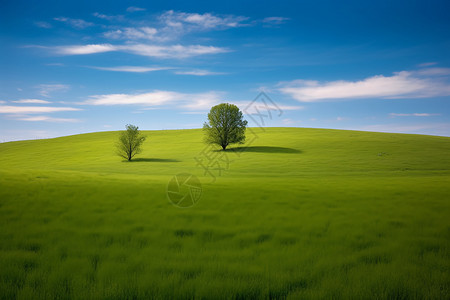 天插画天空下的绿色草坪背景