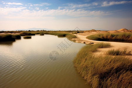 美丽的沙湖风景区景观图片