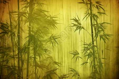 泛黄的竹林创意背景高清图片