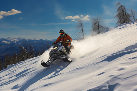 冬季林间的雪地摩托车运动图片