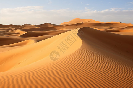 壮观的沙漠景观背景图片