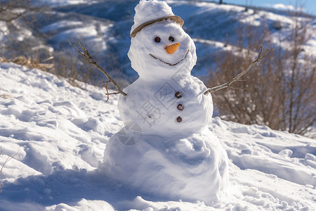 雪地中的雪人图片