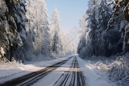 冬日林间的雪路图片