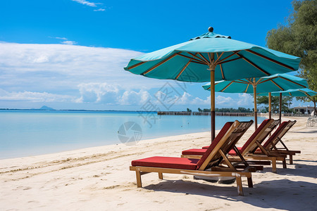 户外海滩上的躺椅图片