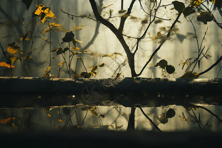 黄叶倒映树影朦胧背景图片