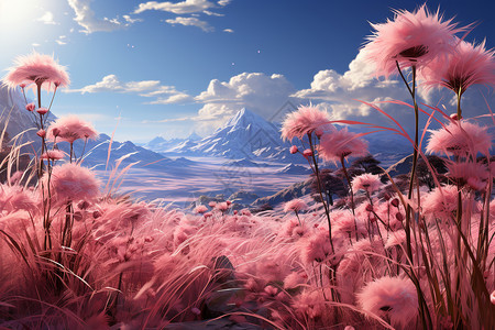 天空下的粉色绣球草插画