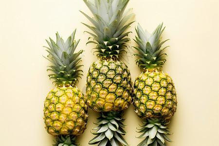一组菠萝图片