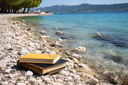 海滩上的书香高清图片
