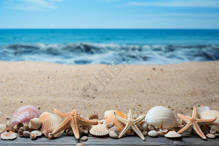 海浪中的贝壳图片