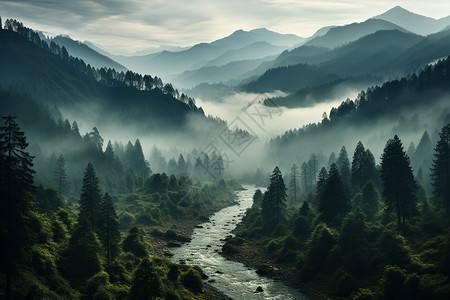 山脉中的树木和河流图片
