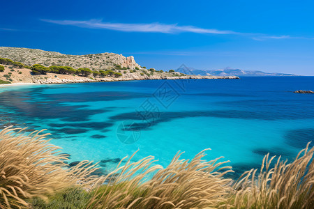 一个蓝色海水沙滩背景图片