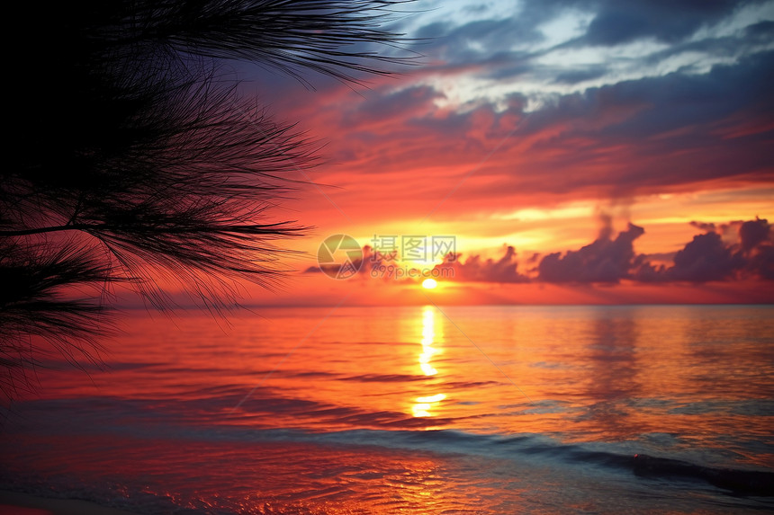 夕阳下的红色海洋图片