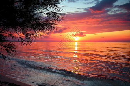 夕阳映照下的浪漫海岛背景图片