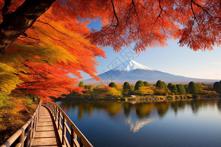 枫叶湖上的秋景背景图片