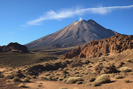 火山国家公园梦幻龙血树背景