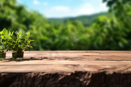 树桩上植物背景图片