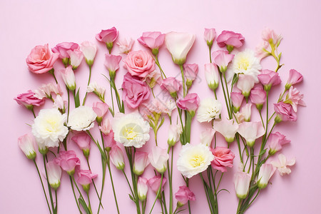 粉色桌面上的花束背景图片
