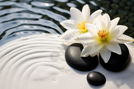 白花下的黑色鹅卵石背景图片