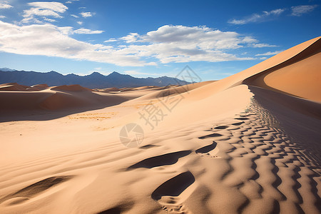 沙漠中的沙子背景图片