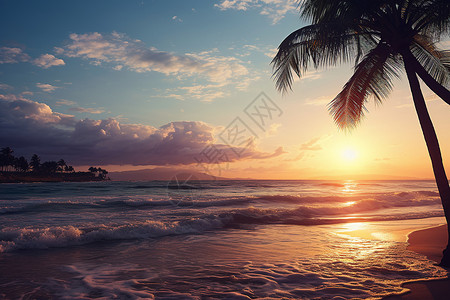 日落下的沙滩上有一棵棕榈树图片