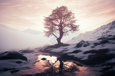 一棵孤零零的树寒冷冬季的雪山树木插画
